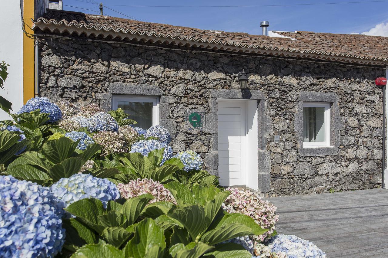 Farm stay Casa Do Campo - A Minha Casa Capelas